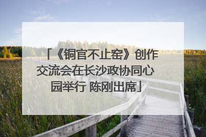 《铜官不止窑》创作交流会在长沙政协同心园举行 陈刚出席
