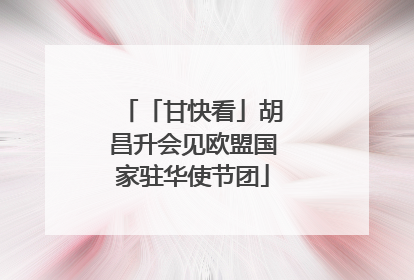 「甘快看」胡昌升会见欧盟国家驻华使节团