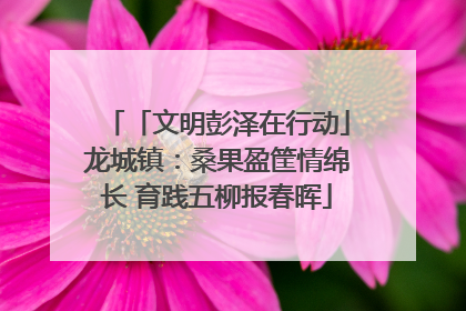 「文明彭泽在行动」龙城镇：桑果盈筐情绵长 育践五柳报春晖
