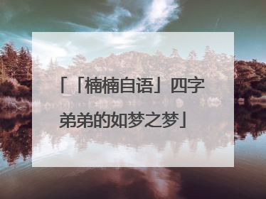 「楠楠自语」四字弟弟的如梦之梦