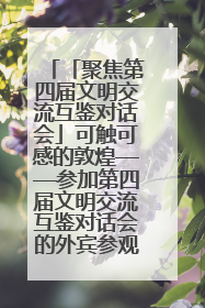 「聚焦第四届文明交流互鉴对话会」可触可感的敦煌——参加第四届文明交流互鉴对话会的外宾参观上元市集