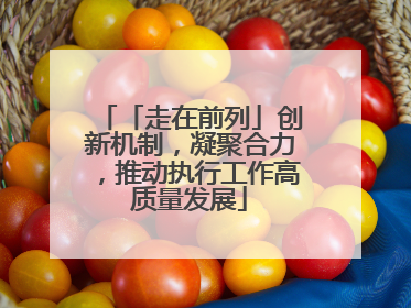 「走在前列」创新机制，凝聚合力，推动执行工作高质量发展
