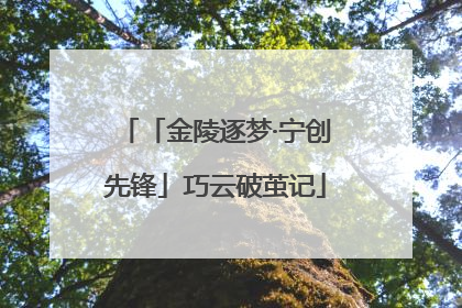 「金陵逐梦·宁创先锋」巧云破茧记