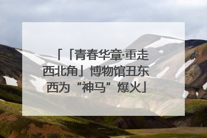 「青春华章·重走西北角」博物馆丑东西为“神马”爆火