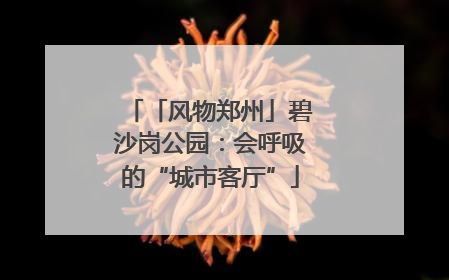 「风物郑州」碧沙岗公园：会呼吸的“城市客厅”