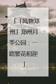 「风物郑州」郑州月季公园：一路繁花相迎