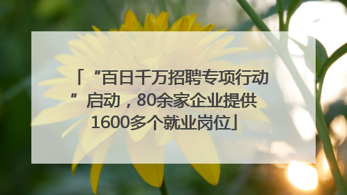 “百日千万招聘专项行动”启动，80余家企业提供1600多个就业岗位