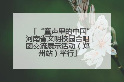 “童声里的中国”河南省文明校园合唱团交流展示活动（郑州站）举行