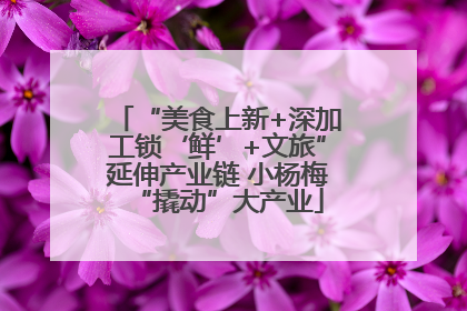 “美食上新+深加工锁‘鲜’+文旅”延伸产业链 小杨梅“撬动”大产业