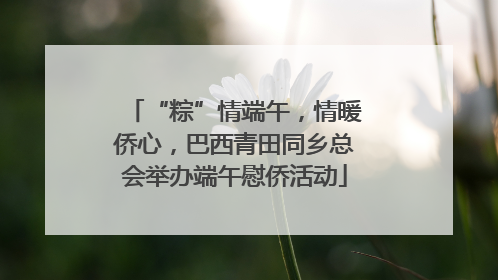 “粽”情端午，情暖侨心，巴西青田同乡总会举办端午慰侨活动