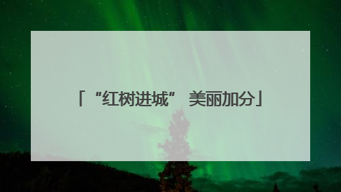 “红树进城” 美丽加分