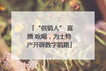 “供销人” 直播 吆喝，为土特产开辟数字销路