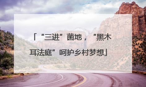 “三进”菌地，“黑木耳法庭”呵护乡村梦想