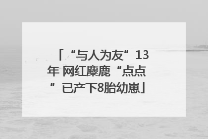 “与人为友”13年 网红麋鹿“点点”已产下8胎幼崽