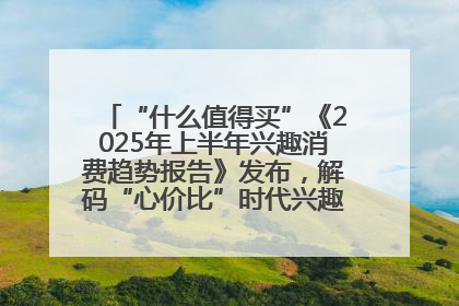 “什么值得买”《2025年上半年兴趣消费趋势报告》发布，解码“心价比”时代兴趣消费新范式