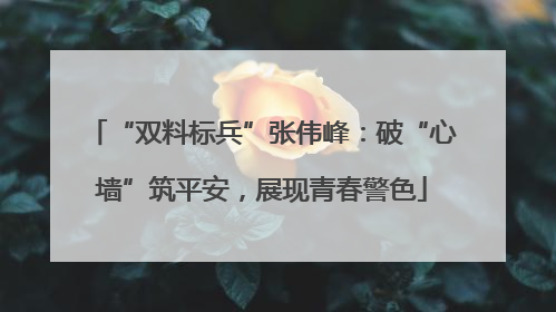 “双料标兵”张伟峰：破“心墙”筑平安，展现青春警色