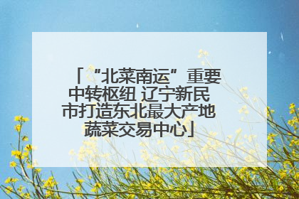 “北菜南运”重要中转枢纽 辽宁新民市打造东北最大产地蔬菜交易中心