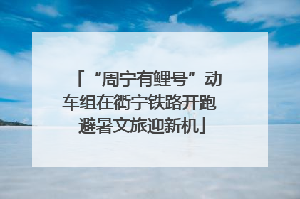 “周宁有鲤号”动车组在衢宁铁路开跑 避暑文旅迎新机