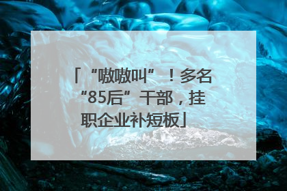 “嗷嗷叫”！多名“85后”干部，挂职企业补短板