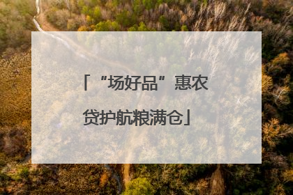“场好品”惠农贷护航粮满仓