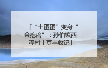 “土蛋蛋”变身“金疙瘩”：孙伯镇西程村土豆丰收记