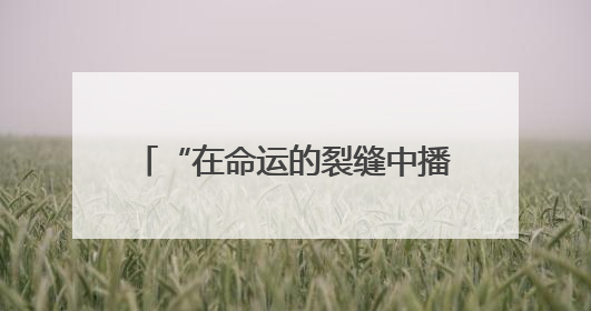 “在命运的裂缝中播种太阳”，他们的精神力量鼓舞着很多人