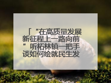 “在高质量发展新征程上一路向前”听柘林镇一把手谈如何绘就民生发展绚丽画卷