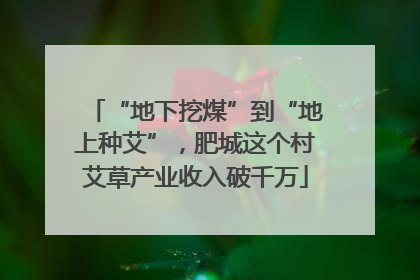 “地下挖煤”到“地上种艾”，肥城这个村艾草产业收入破千万