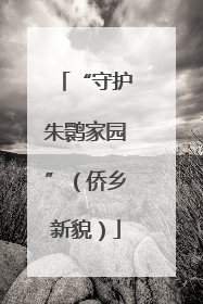 “守护朱鹮家园”（侨乡新貌）