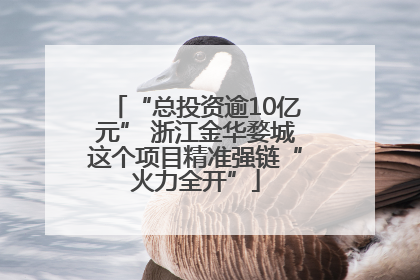 “总投资逾10亿元” 浙江金华婺城这个项目精准强链“火力全开”