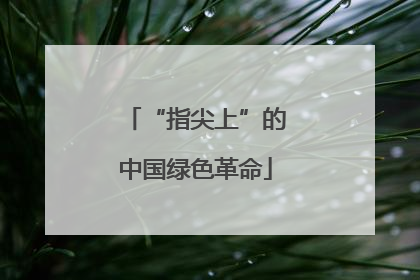 “指尖上”的中国绿色革命