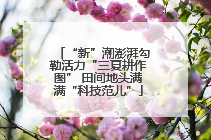 “新”潮澎湃勾勒活力“三夏耕作图” 田间地头满满“科技范儿”