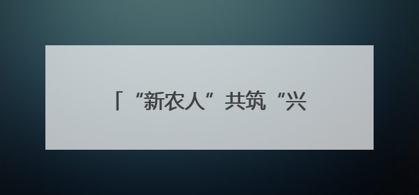 “新农人”共筑“兴农路”：“新农人”付鹏程的稻乡情怀
