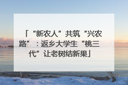 “新农人”共筑“兴农路”：返乡大学生“桃三代”让老树结新果