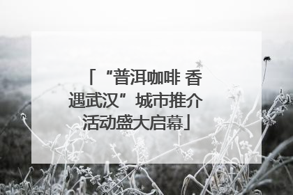 “普洱咖啡 香遇武汉”城市推介活动盛大启幕