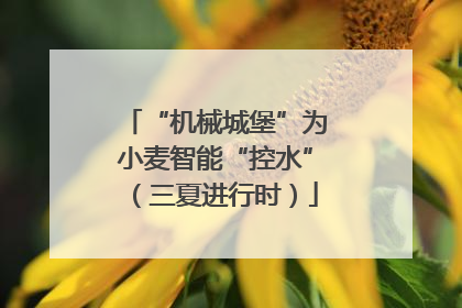 “机械城堡”为小麦智能“控水”（三夏进行时）