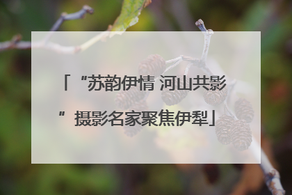“苏韵伊情 河山共影”摄影名家聚焦伊犁