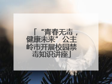 “青春无毒，健康未来”公主岭市开展校园禁毒知识讲座