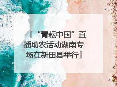 “青耘中国”直播助农活动湖南专场在新田县举行