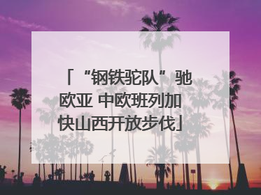 “钢铁驼队”驰欧亚 中欧班列加快山西开放步伐