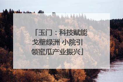 玉门：科技赋能戈壁绿洲 小院引领蜜瓜产业振兴