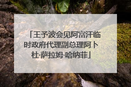 王予波会见阿富汗临时政府代理副总理阿卜杜·萨拉姆·哈纳菲