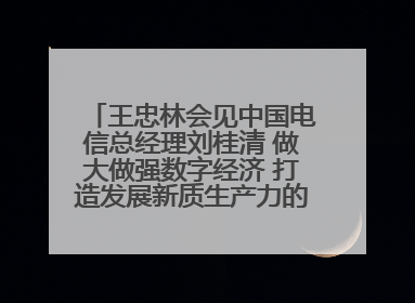 王忠林会见中国电信总经理刘桂清 做大做强数字经济 打造发展新质生产力的强劲引擎
