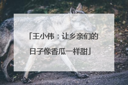 王小伟：让乡亲们的日子像香瓜一样甜