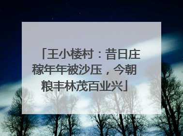 王小楼村：昔日庄稼年年被沙压，今朝粮丰林茂百业兴