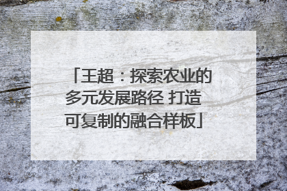 王超：探索农业的多元发展路径 打造可复制的融合样板