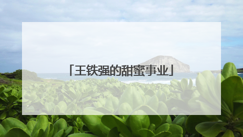 王铁强的甜蜜事业