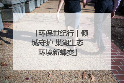 环保世纪行｜倾城守护 巢湖生态环境新蝶变