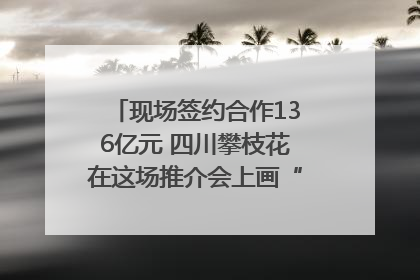 现场签约合作136亿元 四川攀枝花在这场推介会上画“图谱”列“清单”