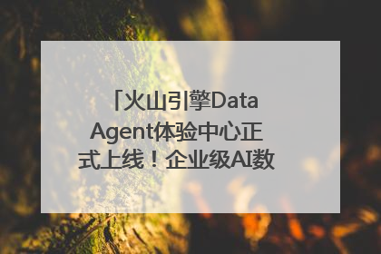 火山引擎Data Agent体验中心正式上线！企业级AI数据专家触手可及